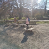 IMG-20250319-WA0003