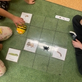 WhatsApp Image 2025-11-04 at 17.43.30