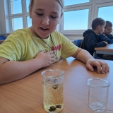 WhatsApp Image 2025-11-21 at 19.31.37(2)