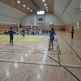 Turnaj v přehazované