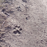 WhatsApp Image 2026-01-27 at 20.38.33