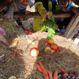 V zimě za zvířátky - 1. třída