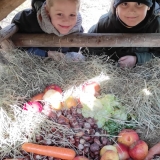 WhatsApp Image 2026-01-27 at 20.38.57 (1)