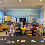 WhatsApp Image 2026-02-14 at 08.53.56