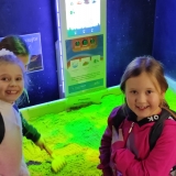 WhatsApp Image 2026-02-09 at 15.34.40