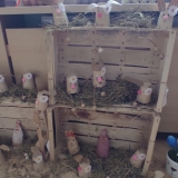 PHOTO-2026-03-30-17-31-03_1