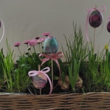 PHOTO-2026-03-30-17-31-09