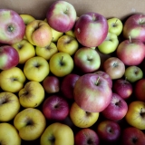 WhatsApp Image 2025-10-26 at 18.02.22