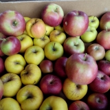 WhatsApp Image 2025-10-26 at 18.02.22 (1)