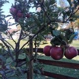 WhatsApp Image 2025-10-26 at 18.02.22 (2)