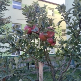 WhatsApp Image 2025-10-26 at 18.02.22 (3)