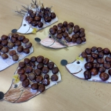 WhatsApp Image 2025-10-26 at 18.02.23 (2)