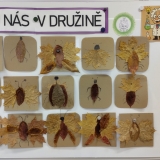 WhatsApp Image 2025-11-11 at 19.19.39