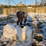 WhatsApp Image 2025-12-05 at 21.27.40(3)