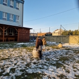 WhatsApp Image 2025-12-05 at 21.27.39(5)