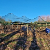 WhatsApp Image 2025-12-23 at 21.38.20