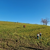 WhatsApp Image 2025-12-23 at 21.38.30