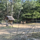 IMG-20260629-WA0001