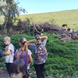 IMG_20261002_143221