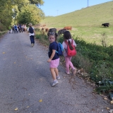 IMG_20261002_143323