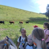 IMG_20261002_143407